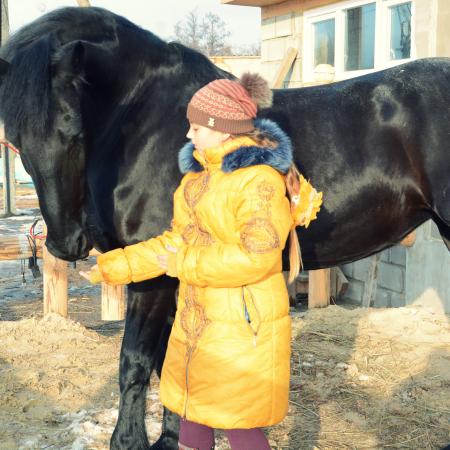 Посмотреть крупнее