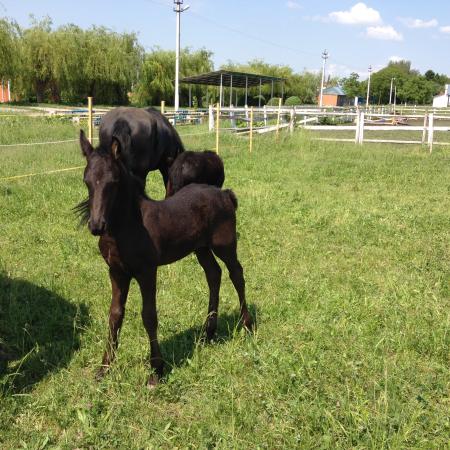 Посмотреть крупнее